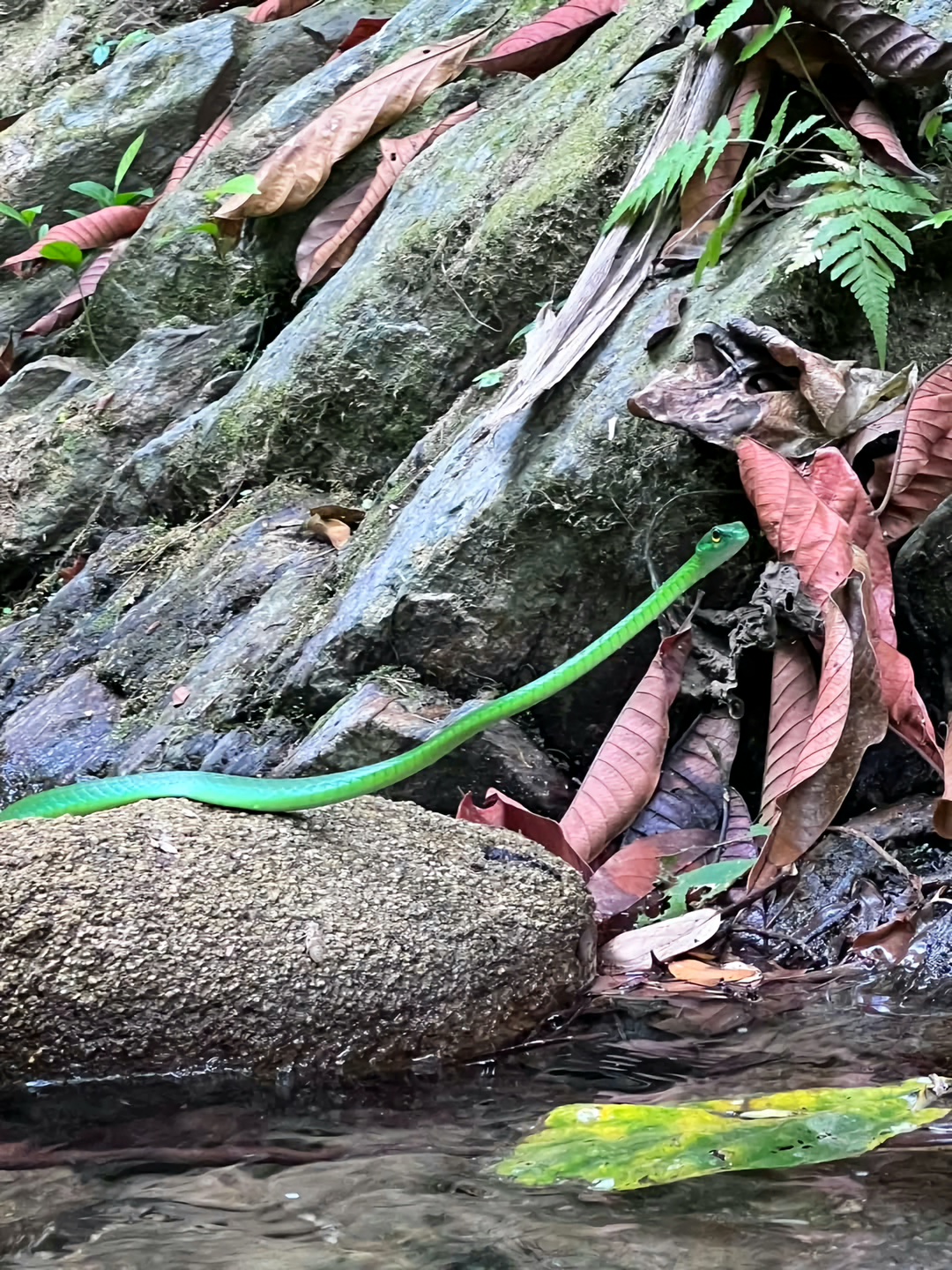 Principios y Valores CCO